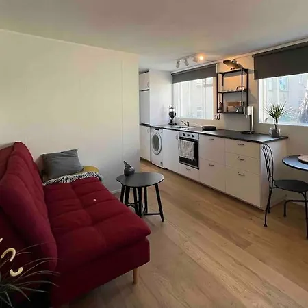 Studio Apartment Reykjavik City Center Esterno foto